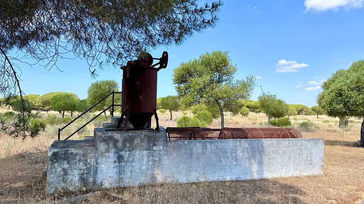 oude-machine-pijnboompitten-park-el-acebuche-huelva