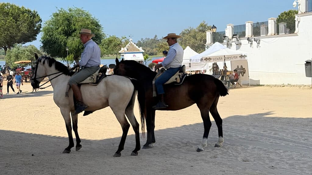 te-paard-op-zandstraten-in-el-rocio-huelva