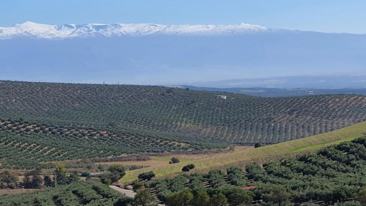 zicht-op-de-sierra-nevada