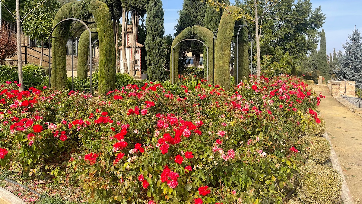 bloemen-in-bloei-in-alcala-al-real