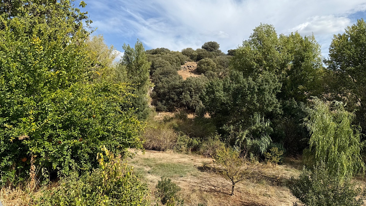 groene-omgeving-rondom-la-casa-antonio-jaen