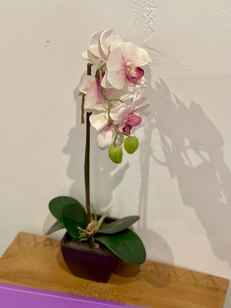 leuke-details-gastenkamer-shop-room