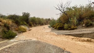 stormachtig-begin-in-andalusie
