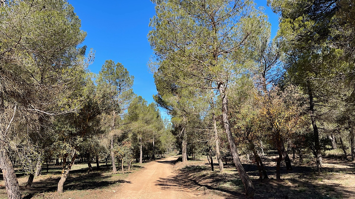 wandelen-in-sierra-de-maria-los-velez-almeria