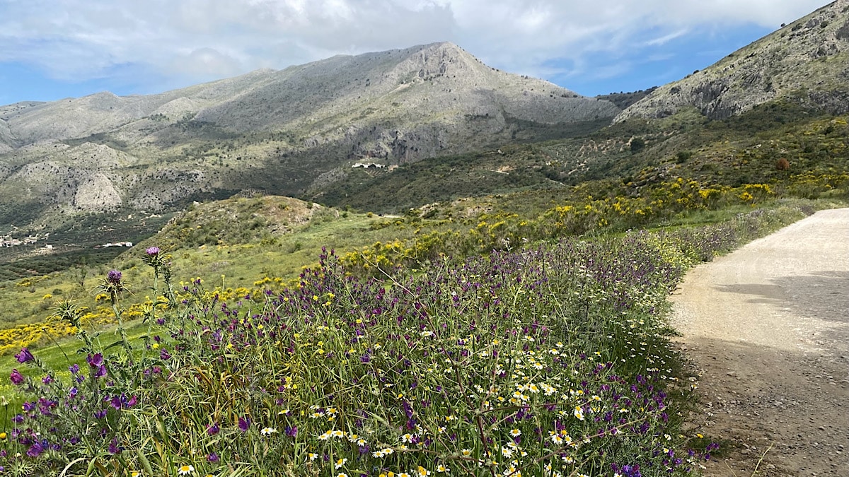 alcaucin-malaga-natuurlijk-omgeving