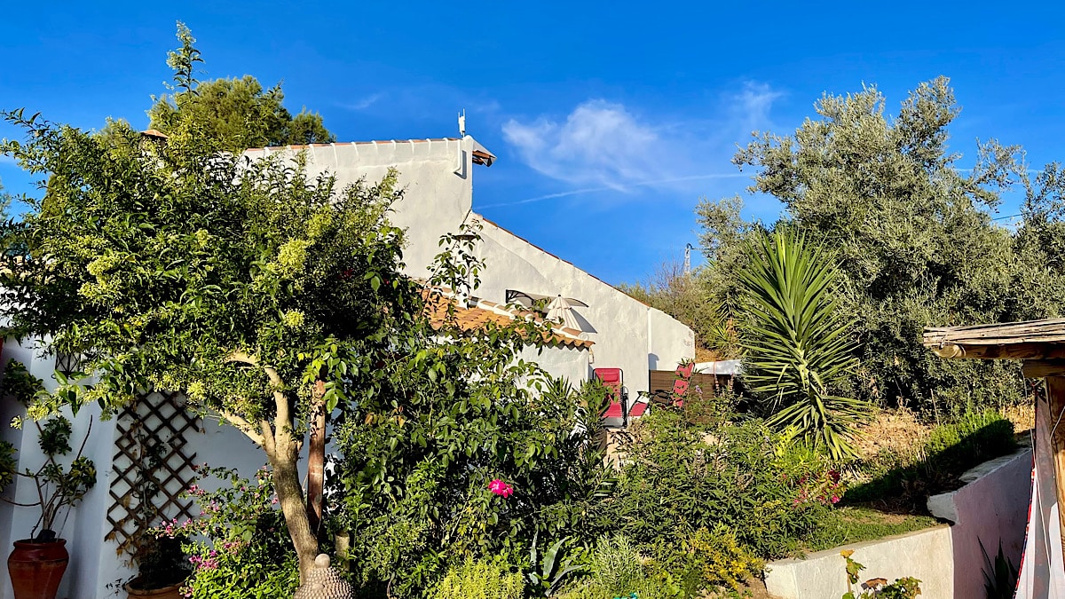 finca-amorosa-charmante-benb-omringd-door-het-groen