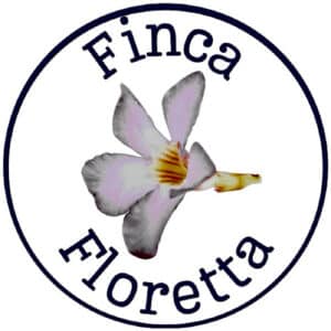 Foto van Monique & Jaap