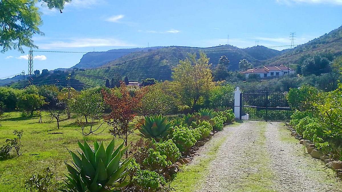 oprit-casita-naranja