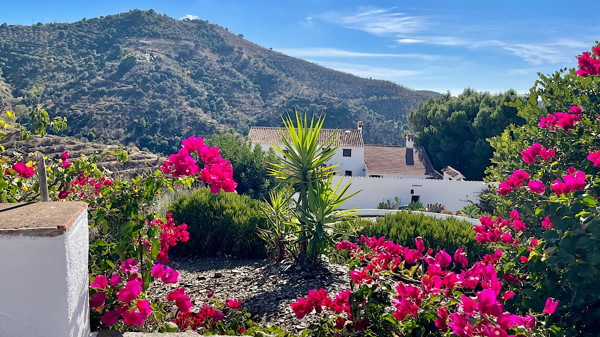 overal-bloemen-bij-cortijo-juan-salvador