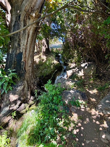 stromend-water-op-het-terrein-van-casa-walhalla-alpujarras
