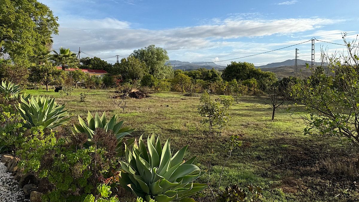 vlak-stuk-land-villa-rosa-casita-naranja-alora-malaga
