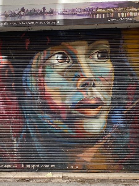Street Art op rolluik in Sevilla