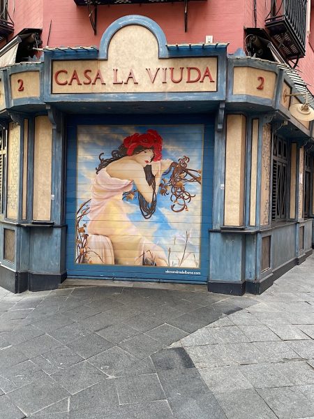 Rolluik Casa La Viuda Sevilla