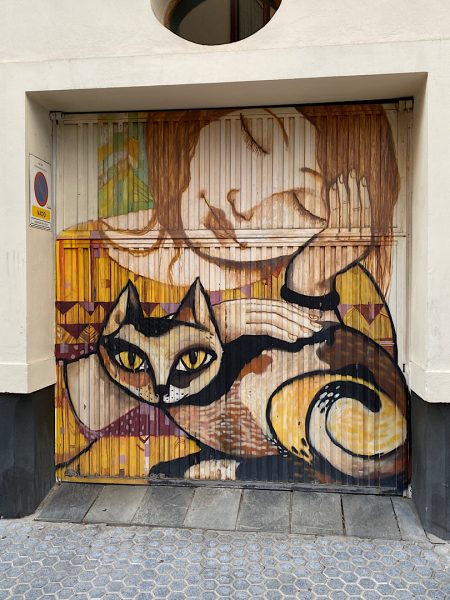 Street Art meisje en kat rolluik Sevilla