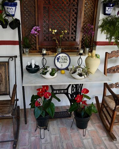 Welkom bij La fiesta de los patios de Córdoba