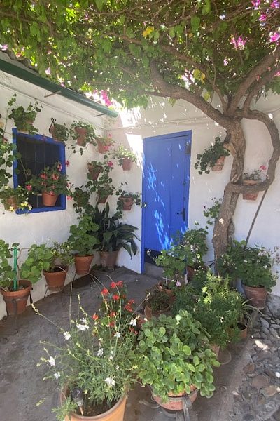patio-cordoba-blauwe-deur